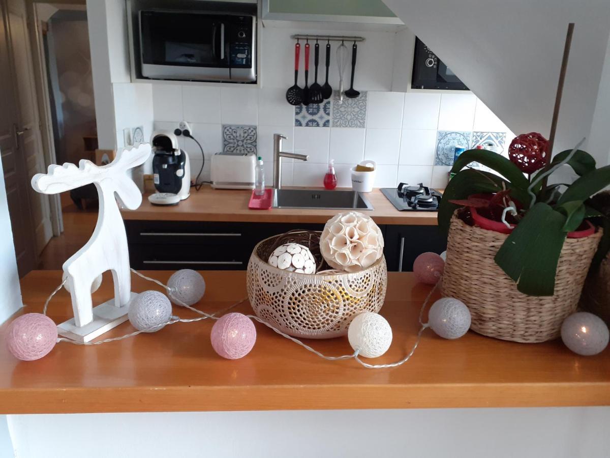 Appartement Rien Que Pour Vous Proche Centre Ville Laval  Ngoại thất bức ảnh
